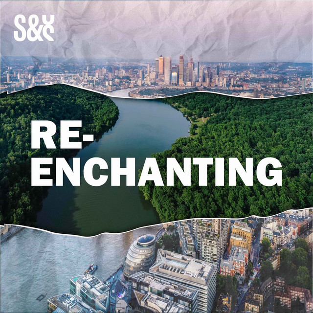 Re-enchanting cover lower res
